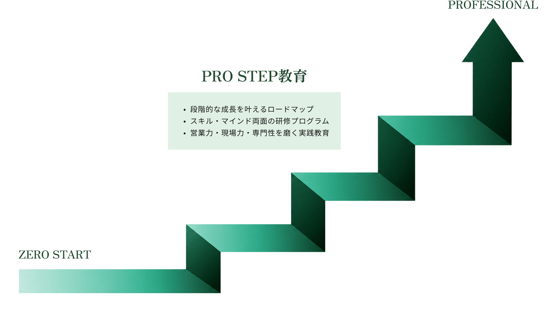PRO STEP教育